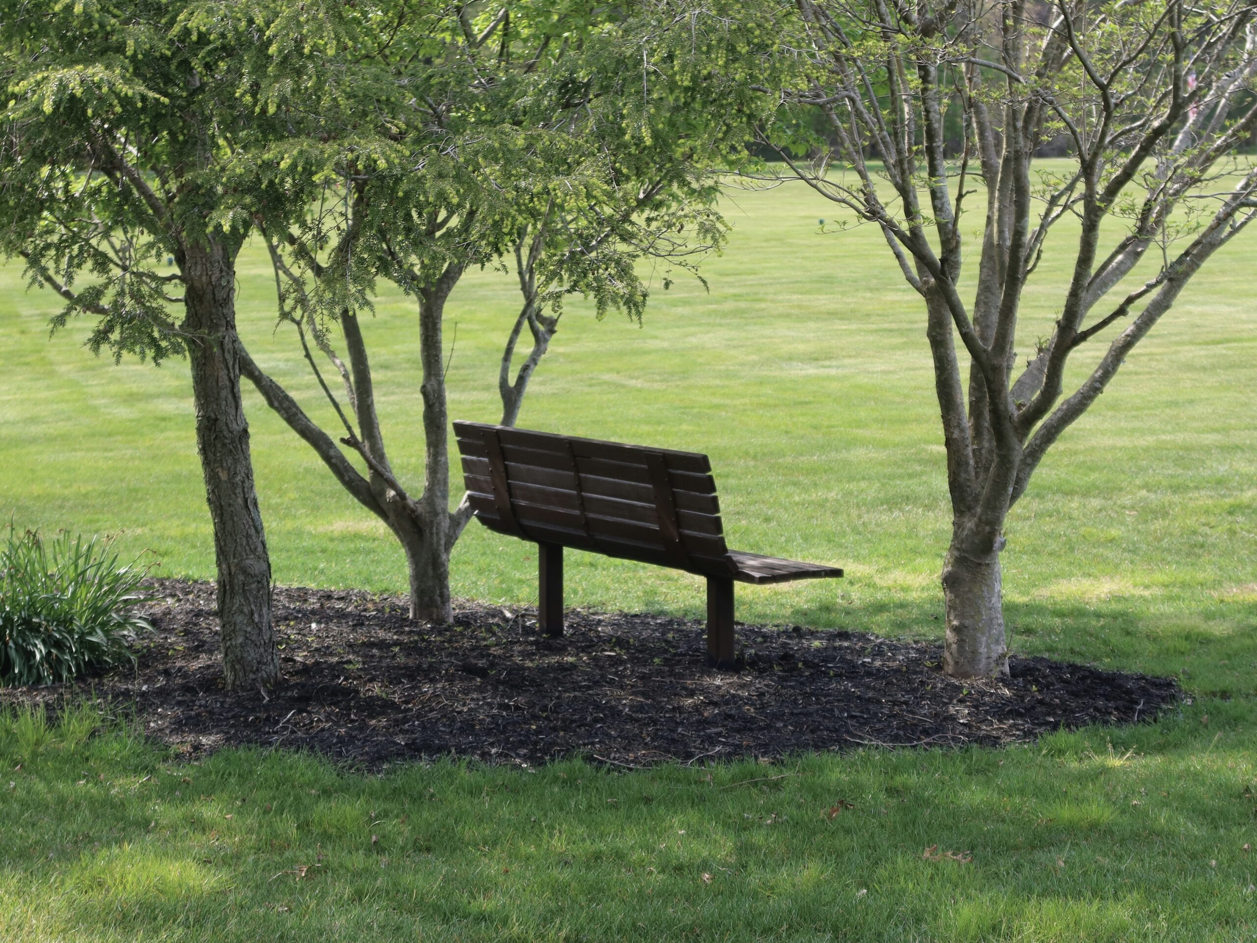 nature banc