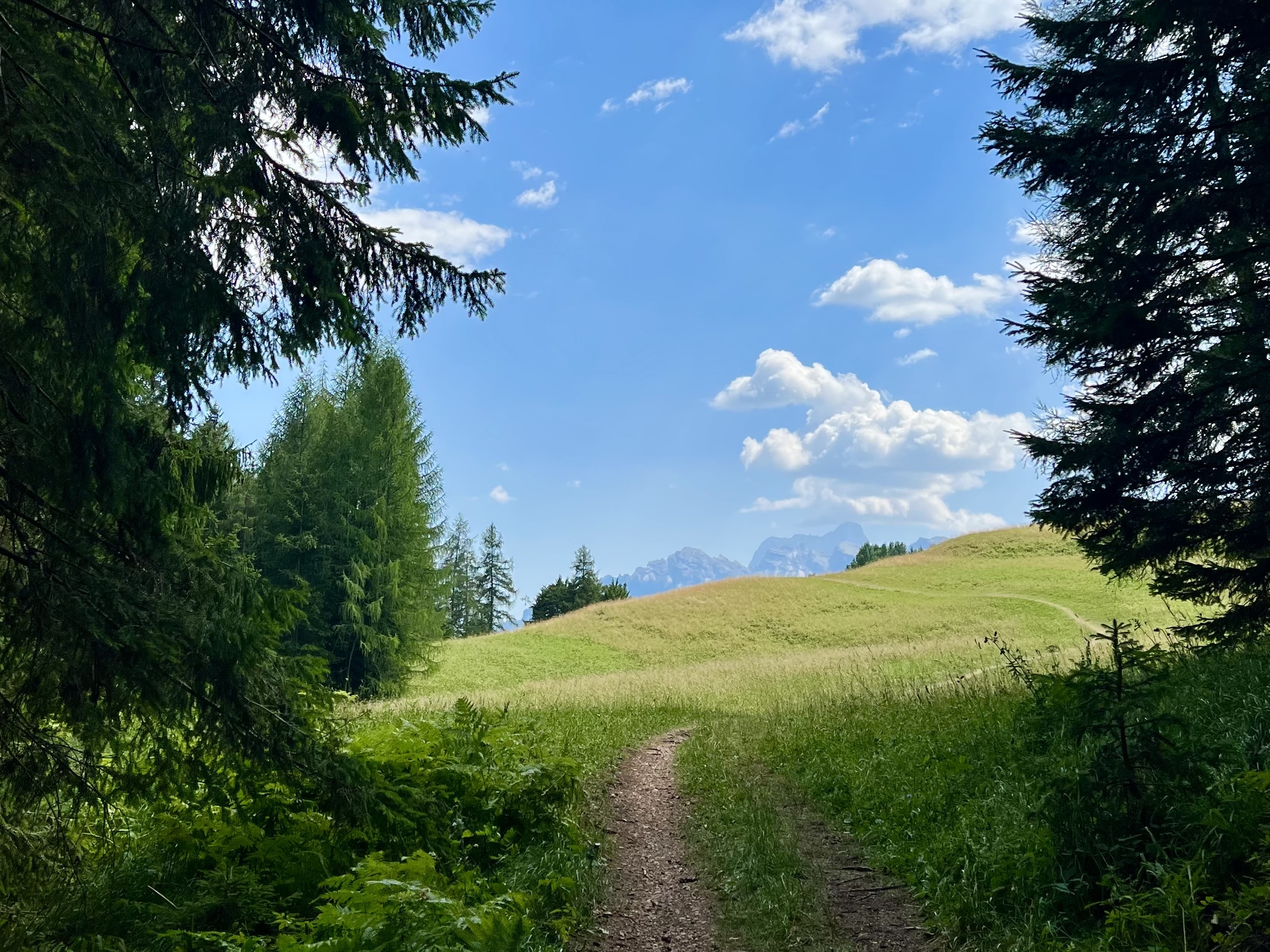 nature 2
